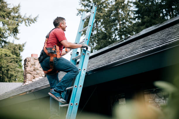 Best Roof Moss and Algae Removal  in Tellico Plains, TN